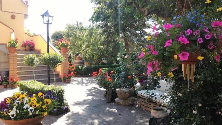 Bed&Breakfast Val Di Lupa Castellina Marittima Exterior foto
